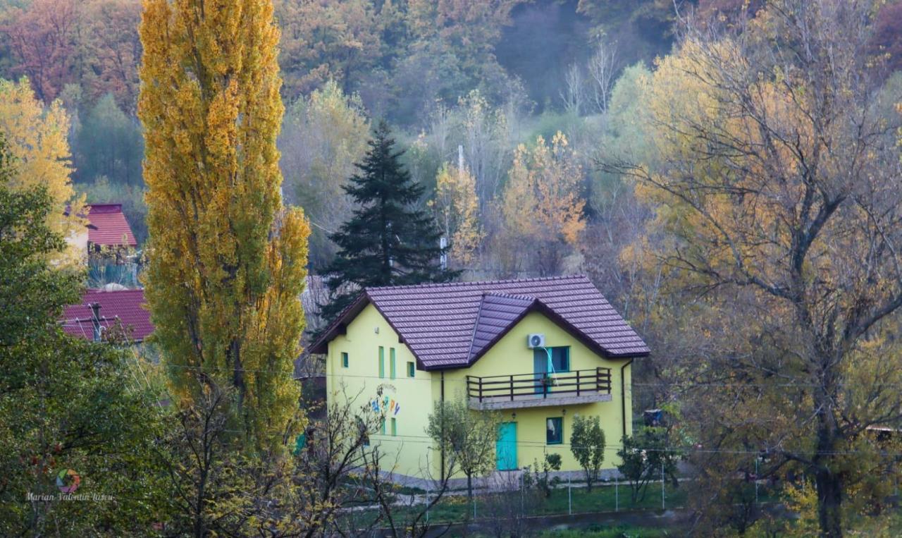 Pensiunea Happy Schitu Topolnitei Екстериор снимка