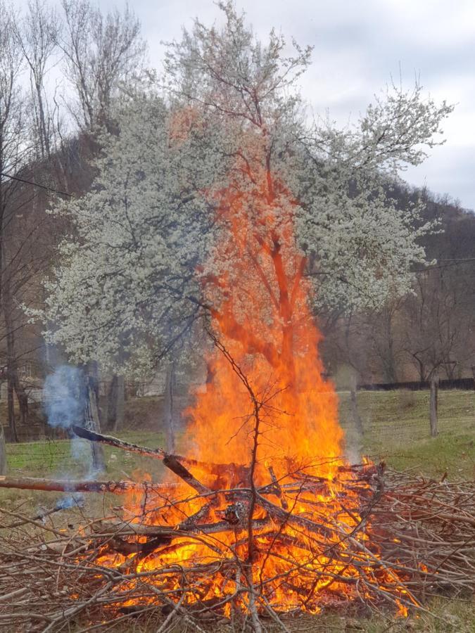 Pensiunea Happy Schitu Topolnitei Екстериор снимка
