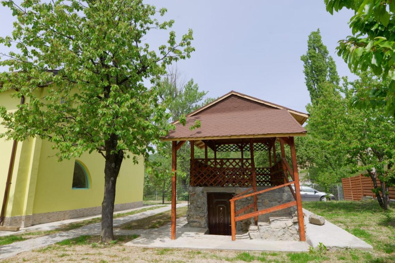 Pensiunea Happy Schitu Topolnitei Екстериор снимка